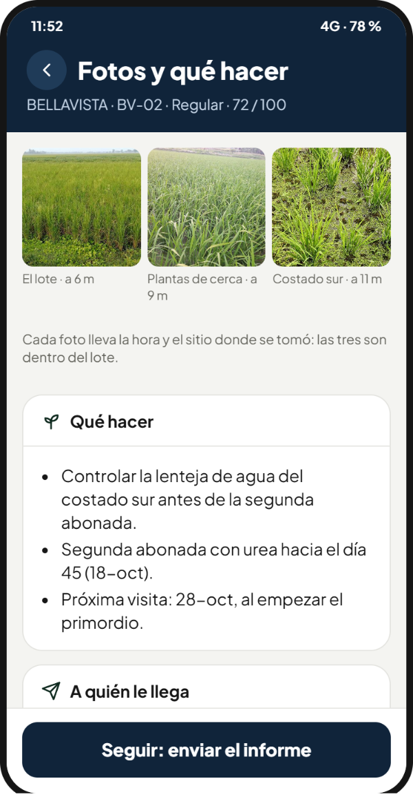 Las fotos de la visita, con el sitio del lote donde se tomaron, y qué hacer