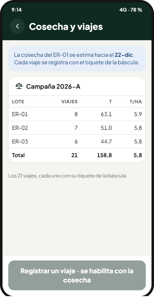 La cosecha: cada viaje con su tiquete de báscula