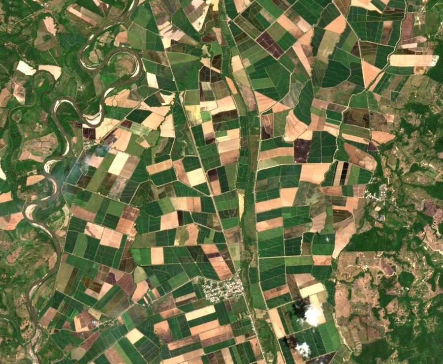 Una zona arrocera en color natural, vista desde el satélite: lotes en distintas etapas, del suelo preparado al cultivo